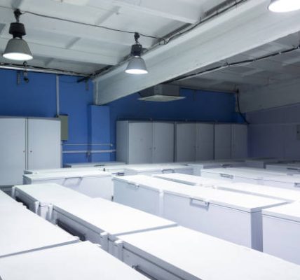 Temperature Control Mastery: Cold Storage Warehousing Excellence