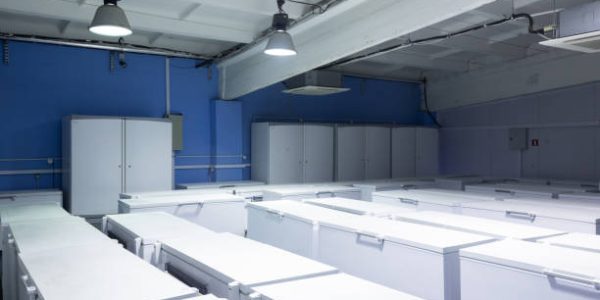 Temperature Control Mastery: Cold Storage Warehousing Excellence